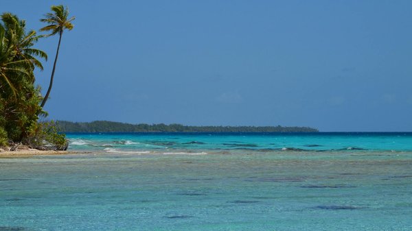 Top conseils pour louer une voiture à toulon facilement !